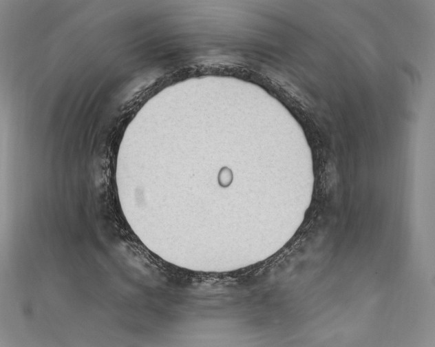 X0000111140824200906301228
