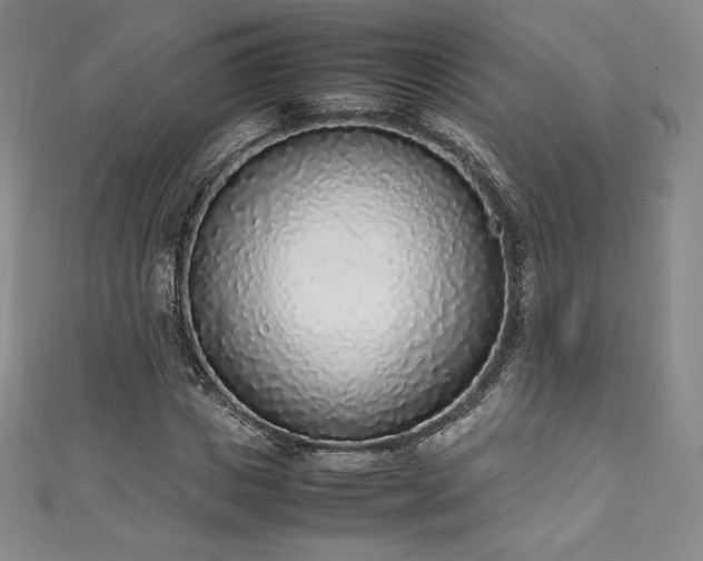 X0000111140825200906301228