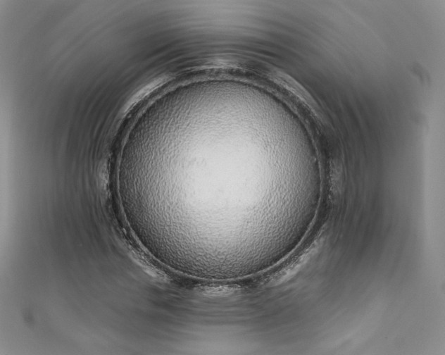 X0000111140826200906301228