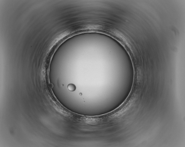 X0000111140827200906301228