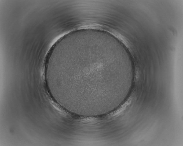 X0000111140830200906301228