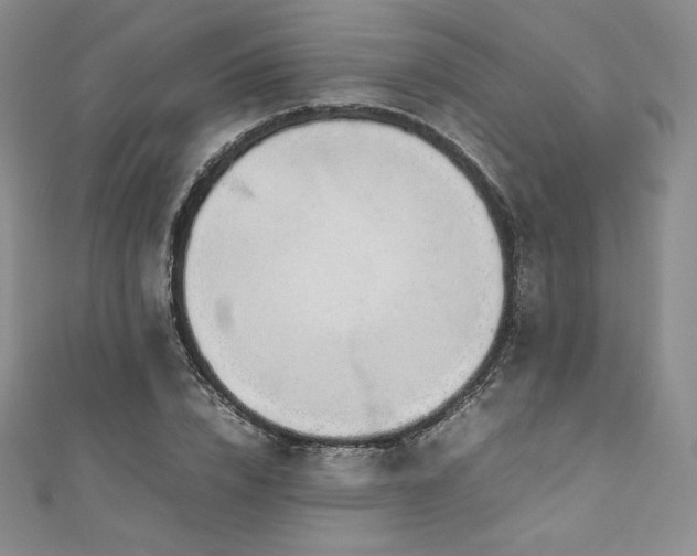 X0000111140832200906301228