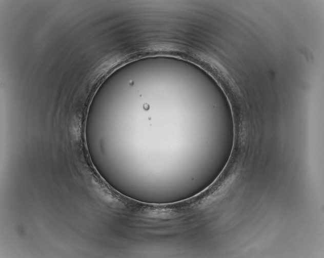 X0000111140833200906301228