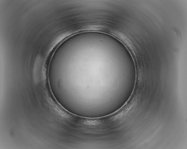 X0000111140835200906301228