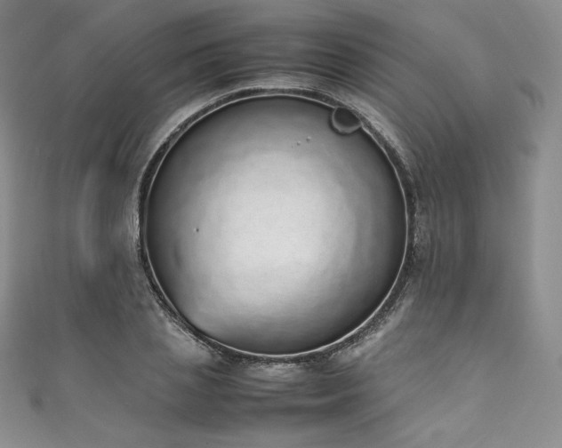 X0000111140837200906301228