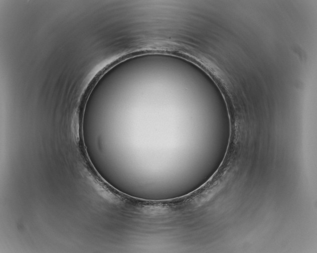 X0000111140838200906301228