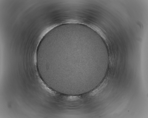 X0000111140839200906301228