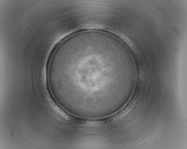 X0000111140840200906301228