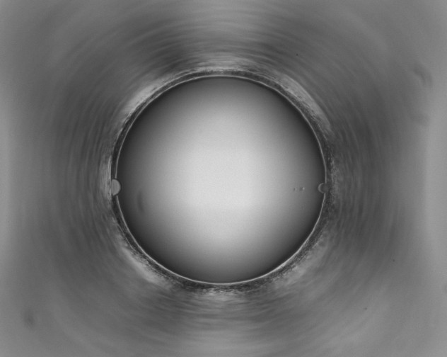 X0000111140842200906301228