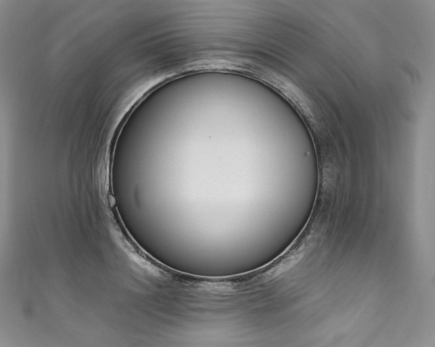 X0000111140844200906301228