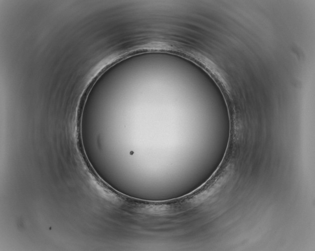 X0000111140845200906301229