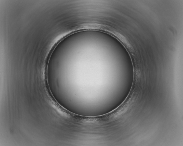 X0000111140846200906301229