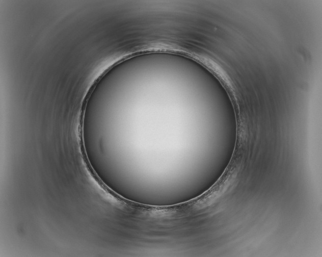 X0000111140847200906301229