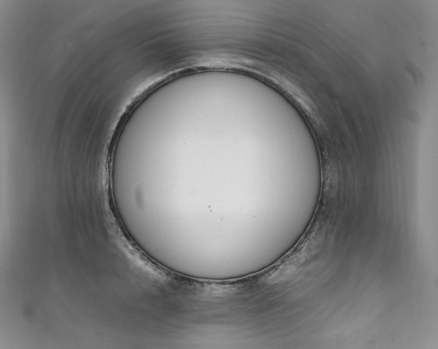 X0000111140848200906301229