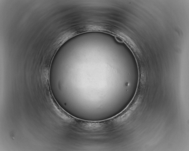 X0000111140849200906301229