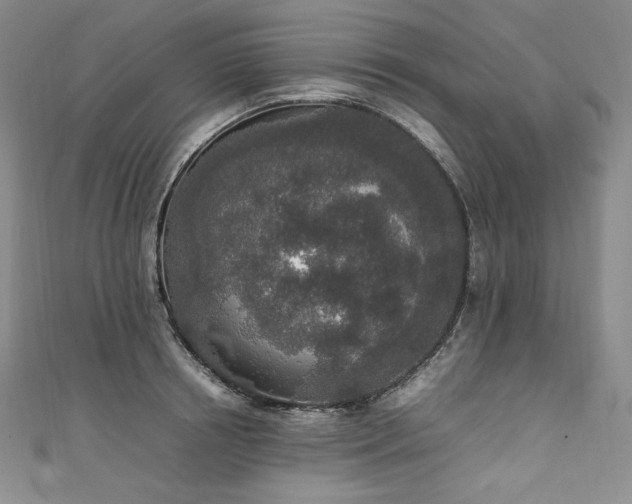 X0000111140850200906301229