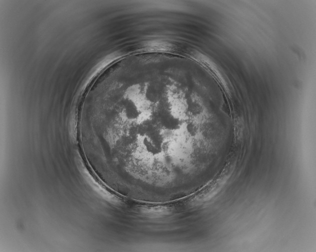 X0000111140851200906301229