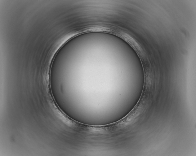 X0000111140852200906301229