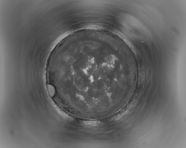 X0000111140853200906301229