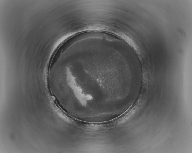 X0000111140854200906301229