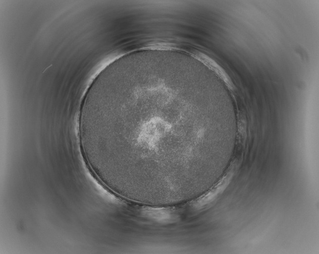 X0000111140855200906301229