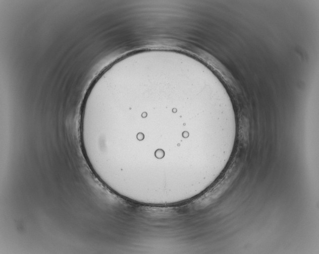 X0000111140856200906301229