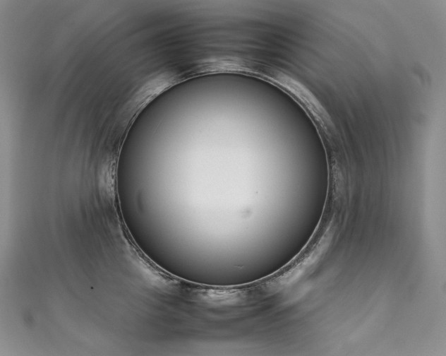 X0000111140857200906301229