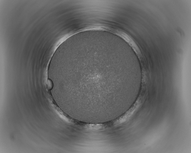 X0000111140858200906301229