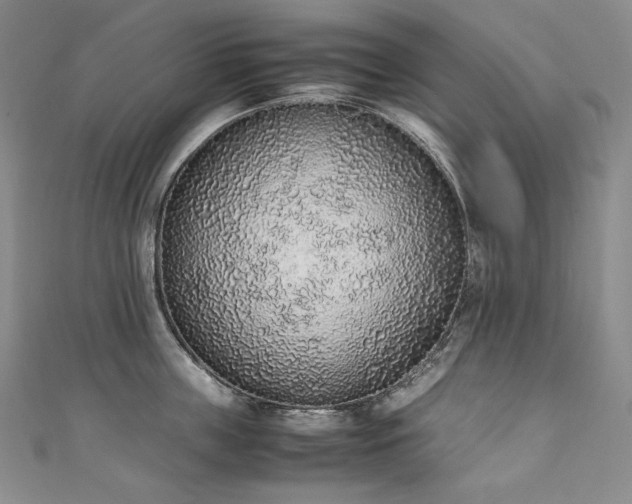 X0000111140859200906301229