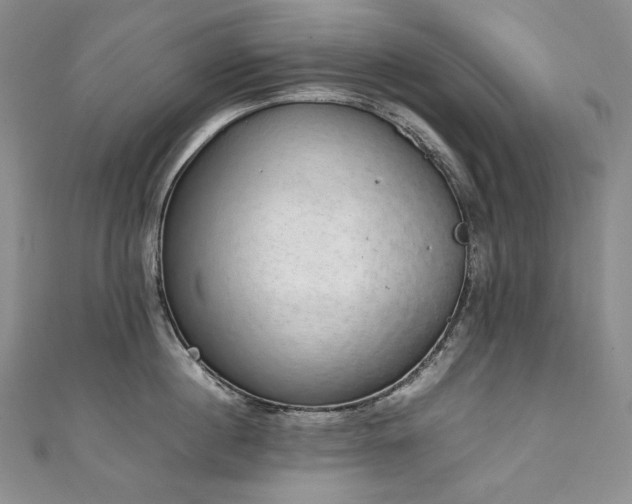 X0000111140860200906301229