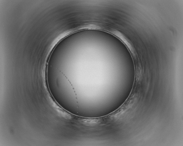 X0000111140861200906301229