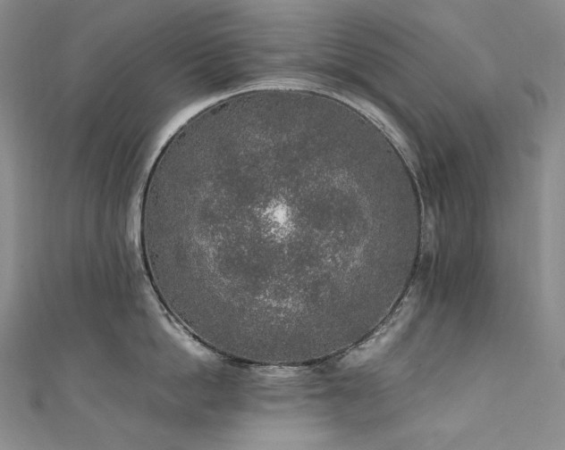 X0000111140862200906301229