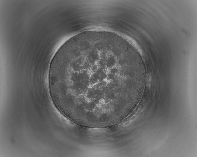 X0000111140863200906301229