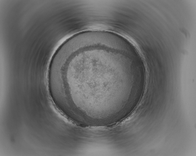 X0000111140864200906301229