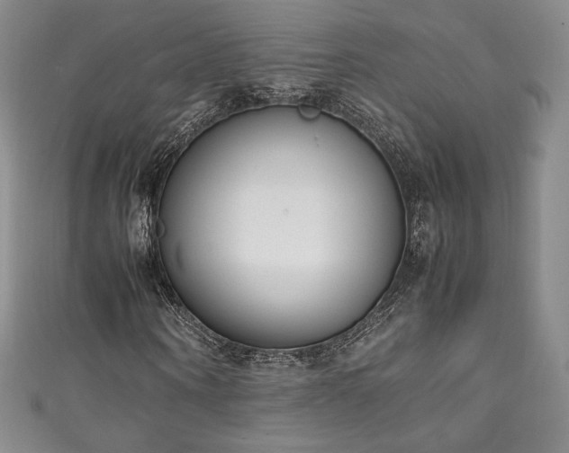 X0000111140866200906301228