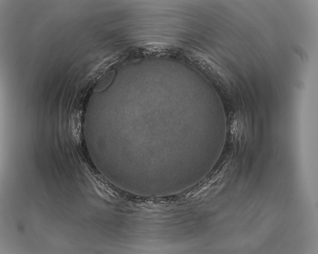 X0000111140868200906301228