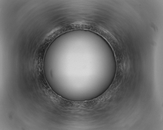 X0000111140870200906301228