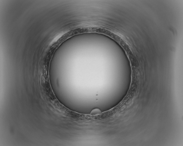X0000111140871200906301228