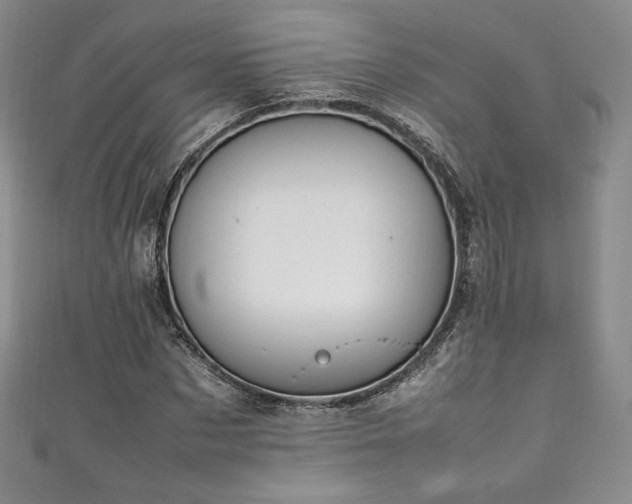 X0000111140873200906301228