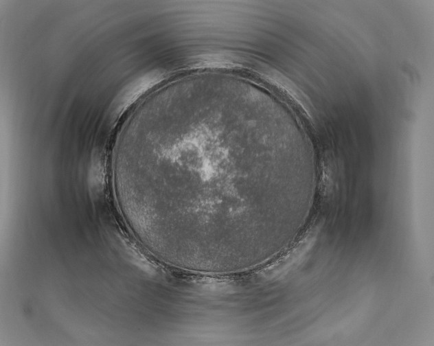 X0000111140874200906301228