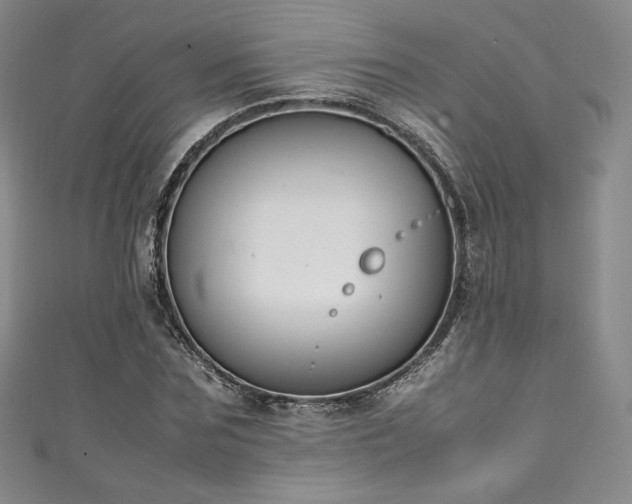 X0000111140875200906301228