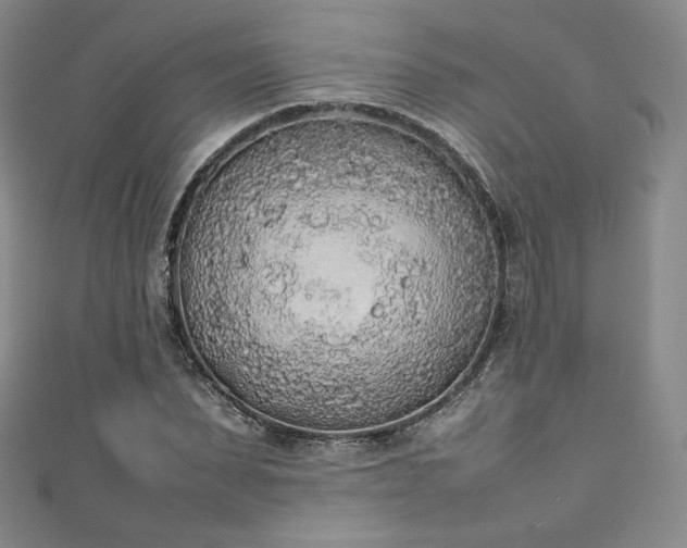 X0000111140879200906301228