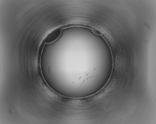 X0000111140880200906301228