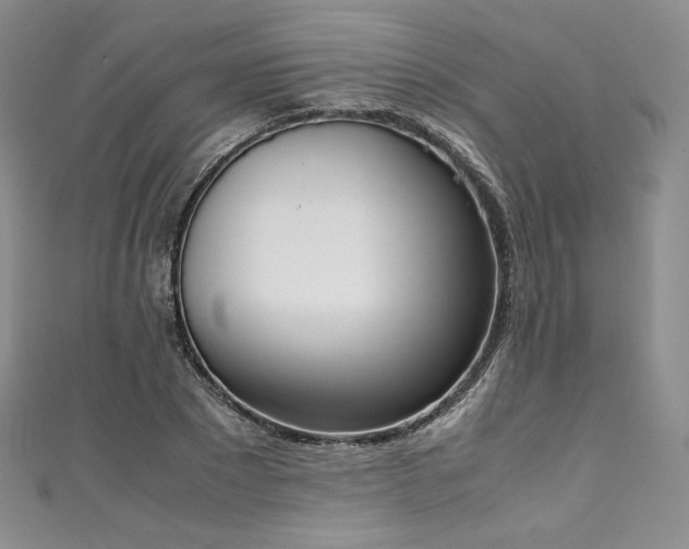 X0000111140881200906301228