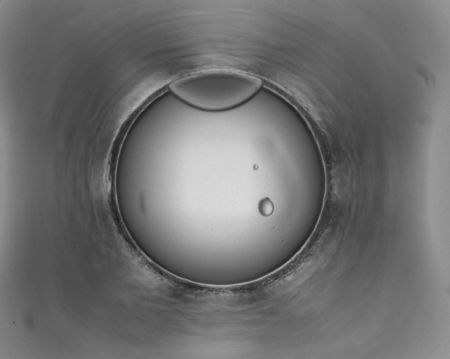 X0000111140885200906301228