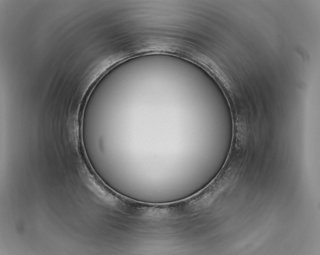 X0000111140890200906301228