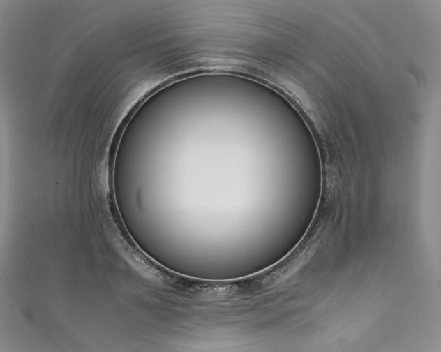X0000111140891200906301228