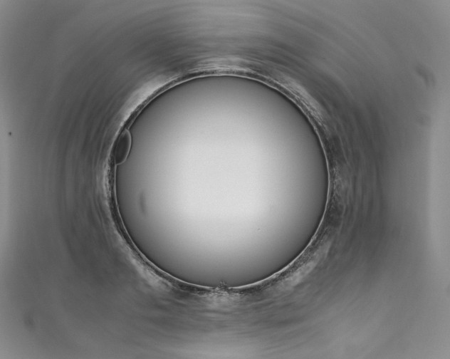 X0000111140893200906301228