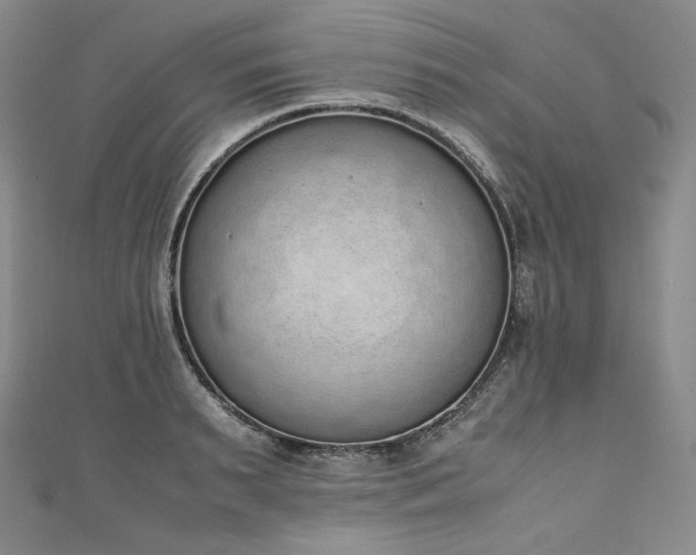 X0000111140895200906301228