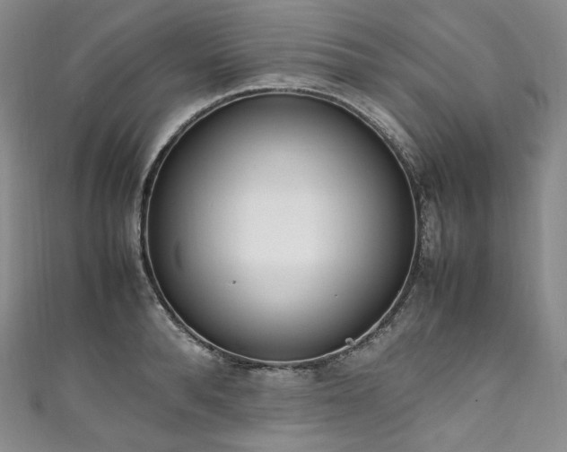 X0000111140896200906301228